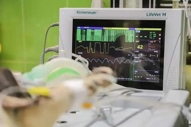 Best Veterinary Emergency Equipment Buying Guide