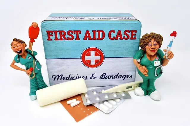 Best First Aid Kit for Pets: Your Ultimate Buying Guide