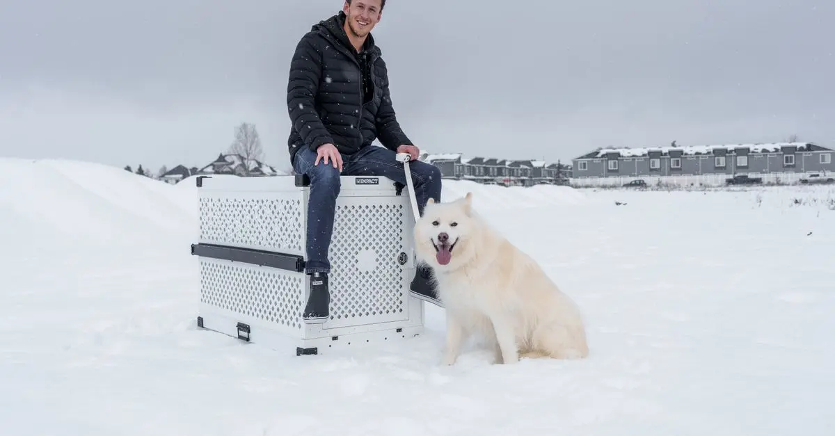 Best Transportation Products for Injured Pets